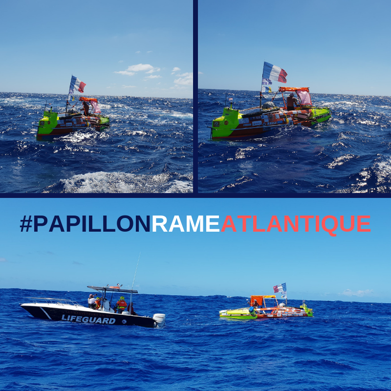 papillon rame atlantique